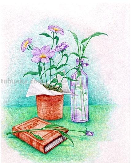 怎么画彩铅牵牛花 花的彩铅画？