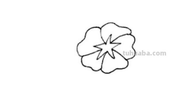 怎么画彩铅牵牛花 花的彩铅画？