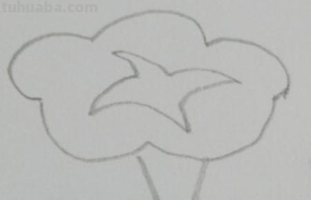 怎么画彩铅牵牛花 花的彩铅画？