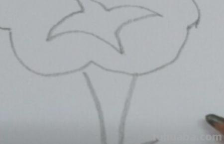 怎么画彩铅牵牛花 花的彩铅画？