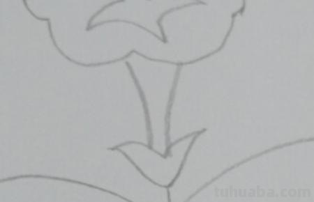 怎么画彩铅牵牛花 花的彩铅画？