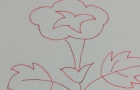 怎么画彩铅牵牛花 花的彩铅画？