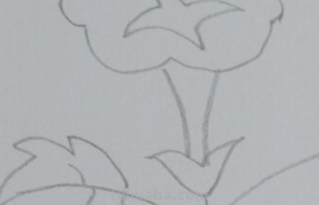 怎么画彩铅牵牛花 花的彩铅画？