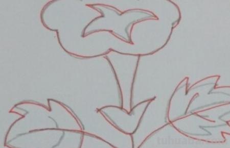 怎么画彩铅牵牛花 花的彩铅画？