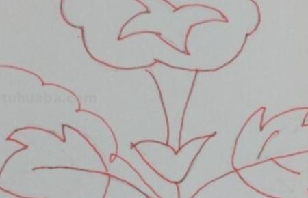 怎么画彩铅牵牛花 花的彩铅画？