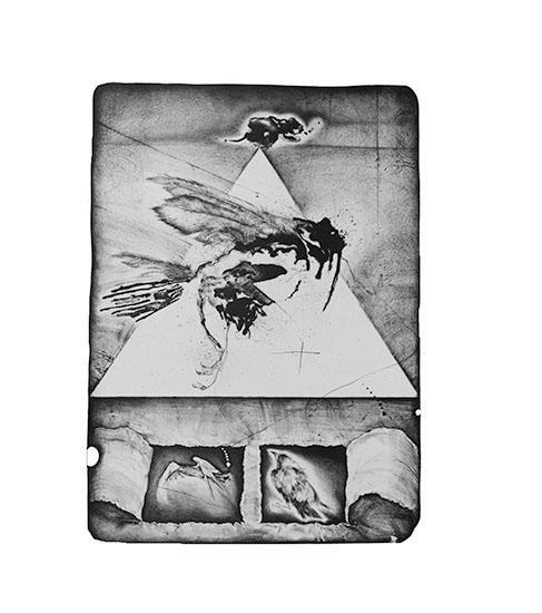 探索版画技法的奥秘 探索版画技法的奥秘