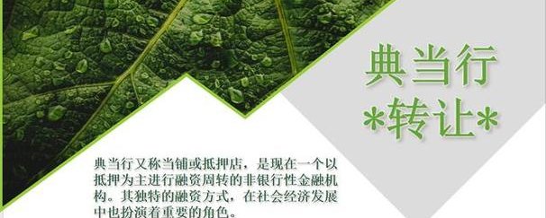 珠宝典当行安全保障,保障你的财富与安全 珠宝典当行安全保障,保障你的财富与安全