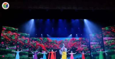 黄子弘凡、张蔷、舞剧《天鹅湖》……本周演出公告→ - 