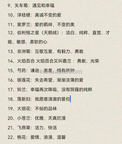 100种花语大全 - 今日头条 100种花语大全 - 图画吧TUHUABA