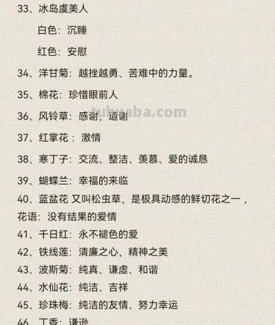 100种花语大全 - 今日头条 100种花语大全 - 图画吧TUHUABA