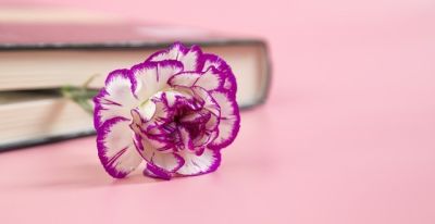 十种花语及寓意 - 图画吧TUHUABA