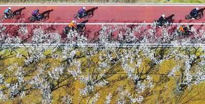 不懂花语何谈赏花？15种山西常见花花语奉上！ - 图画吧TUHUABA