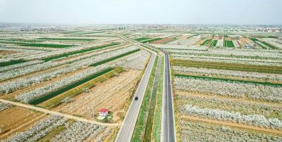 不懂花语何谈赏花？15种山西常见花花语奉上！ - 图画吧TUHUABA