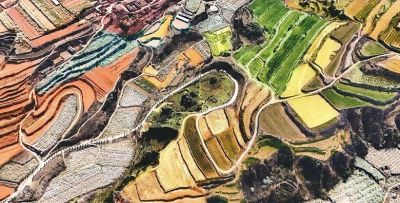 不懂花语何谈赏花？15种山西常见花花语奉上！ - 图画吧TUHUABA