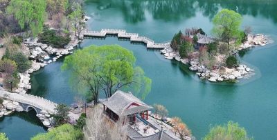 不懂花语何谈赏花？15种山西常见花花语奉上！ - 图画吧TUHUABA