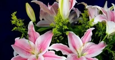 常见花卉名称大全及代表花语 - 今日头条 常见花卉名称大全及代表花语 - 图画吧TUHUABA