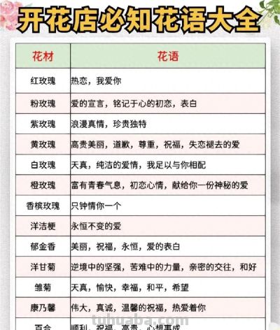 开花店必备 花语大全 花艺师人手一份 ​​​