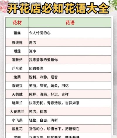 开花店必备 花语大全 花艺师人手一份 ​​​ - 图画吧TUHUABA