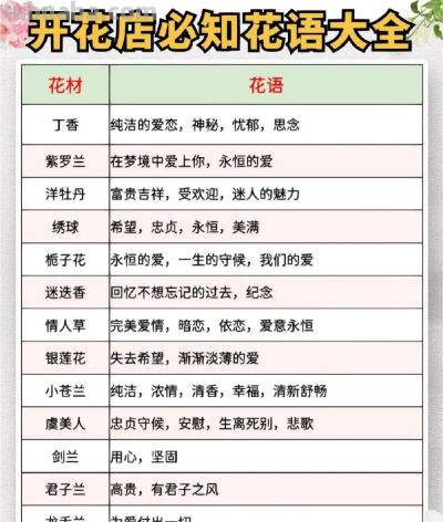 开花店必备 花语大全 花艺师人手一份 ​​​ - 图画吧TUHUABA