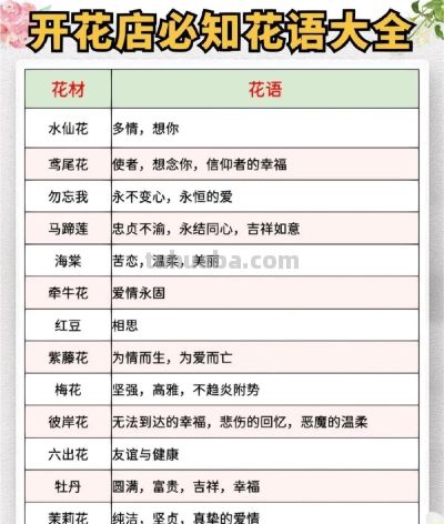 开花店必备 花语大全 花艺师人手一份 ​​​ - 图画吧TUHUABA