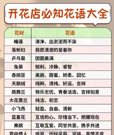 开花店必备 花语大全 花艺师人手一份 ​​​ - 图画吧TUHUABA
