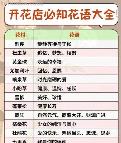 开花店必备 花语大全 花艺师人手一份 ​​​ - 图画吧TUHUABA