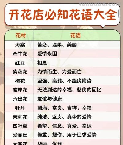 开花店必备 花语大全 花艺师人手一份 ​​​ - 图画吧TUHUABA
