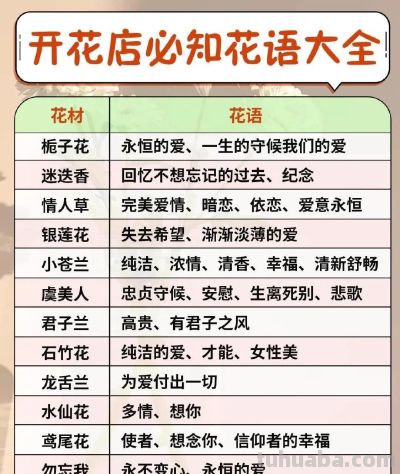 开花店必备 花语大全 花艺师人手一份 ​​​ - 图画吧TUHUABA