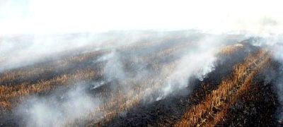 三周让绿萝爆盆?他靠酵母、橘子皮和空调水逆袭养花小白 - 今日头条 三周让绿萝爆盆?他靠酵母、橘子皮和空调水逆袭养花小白 - 图画吧TUHUABA