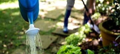 三周让绿萝爆盆?他靠酵母、橘子皮和空调水逆袭养花小白 - 今日头条 三周让绿萝爆盆?他靠酵母、橘子皮和空调水逆袭养花小白 - 图画吧TUHUABA