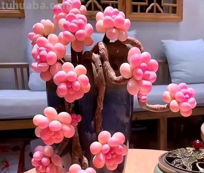 这7种“多肉”，便宜漂亮美翻天，长得快易上色，挤满“小花盆” - 图画吧TUHUABA