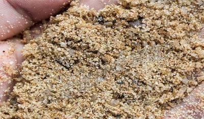 养仙人球，有“一点”非常关键，根系茁壮，顺利开花，又肥又壮 - 图画吧TUHUABA