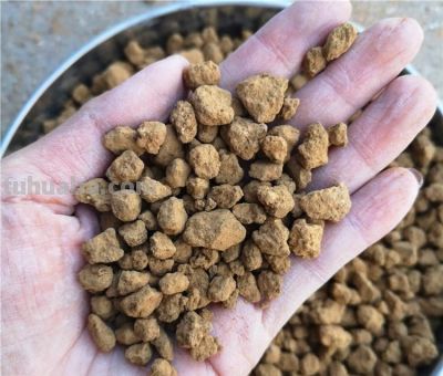 养仙人球，有“一点”非常关键，根系茁壮，顺利开花，又肥又壮 - 图画吧TUHUABA