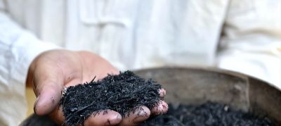 养仙人球，有“一点”非常关键，根系茁壮，顺利开花，又肥又壮 - 图画吧TUHUABA