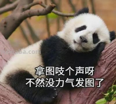 简笔卡通小头像 - 图画吧TUHUABA