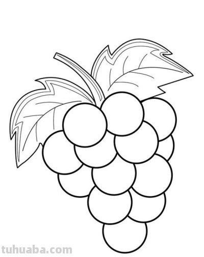 水果简笔画线稿，带着孩子画吧 - 图画吧TUHUABA