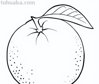 水果简笔画线稿，带着孩子画吧 - 图画吧TUHUABA