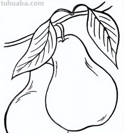 水果简笔画线稿，带着孩子画吧 - 图画吧TUHUABA