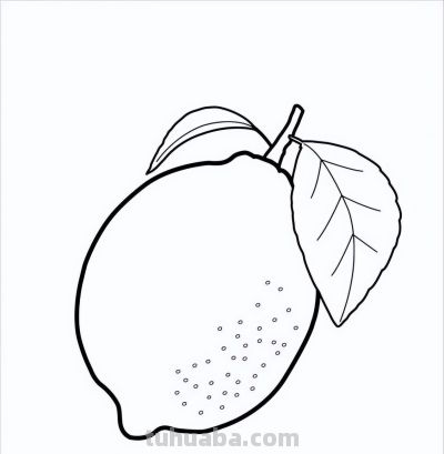 水果简笔画线稿，带着孩子画吧 - 图画吧TUHUABA