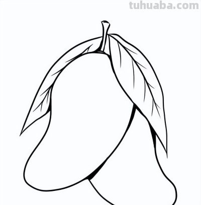 水果简笔画线稿，带着孩子画吧 - 图画吧TUHUABA