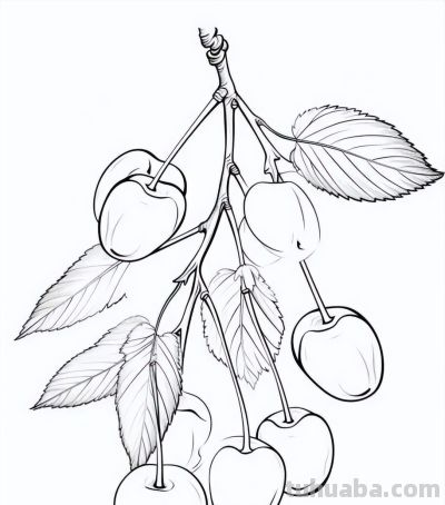 有手就能画！水果的简笔画线稿 - 图画吧TUHUABA