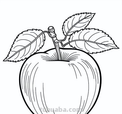 有手就能画！水果的简笔画线稿 - 图画吧TUHUABA