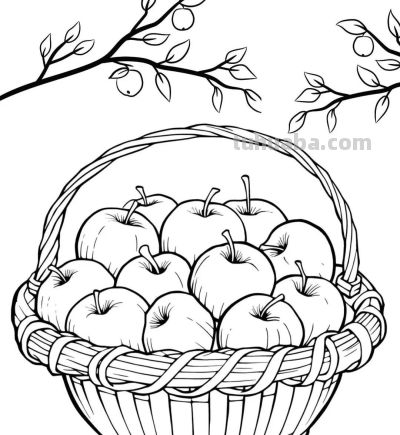 有手就能画！水果的简笔画线稿 - 图画吧TUHUABA