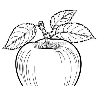 水果的简笔绘画线稿 - 图画吧TUHUABA