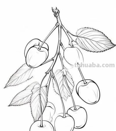 水果的简笔绘画线稿 - 图画吧TUHUABA