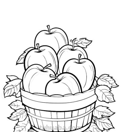 水果的简笔绘画线稿 - 图画吧TUHUABA