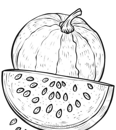 水果的简笔绘画线稿 - 图画吧TUHUABA