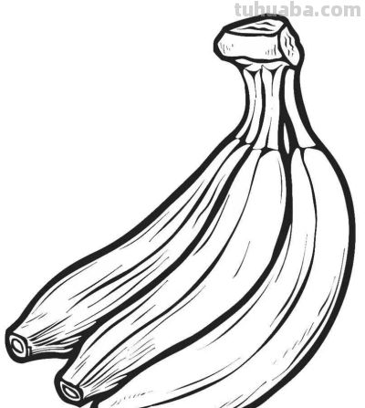 水果的简笔绘画线稿 - 图画吧TUHUABA