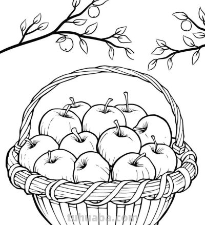 水果的简笔绘画线稿 - 图画吧TUHUABA