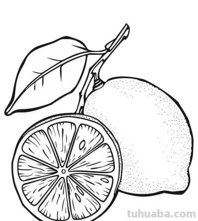 水果的简笔绘画线稿 - 图画吧TUHUABA